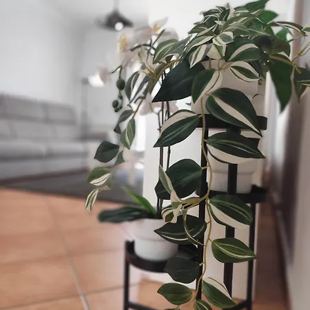 Capela's Πανσιόν